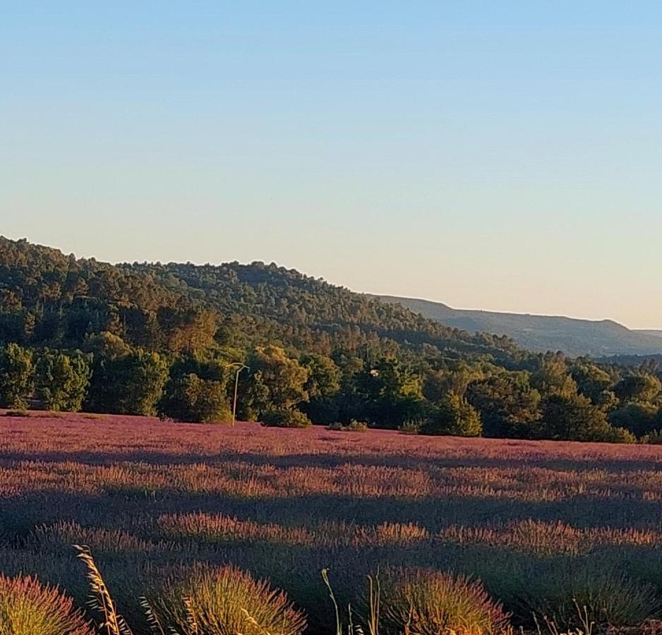 Appartement Roussillon Руссільйон Екстер'єр фото